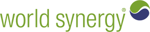 World Synergy Logo